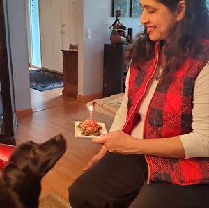 Matching plaid vests for you and your furry friend